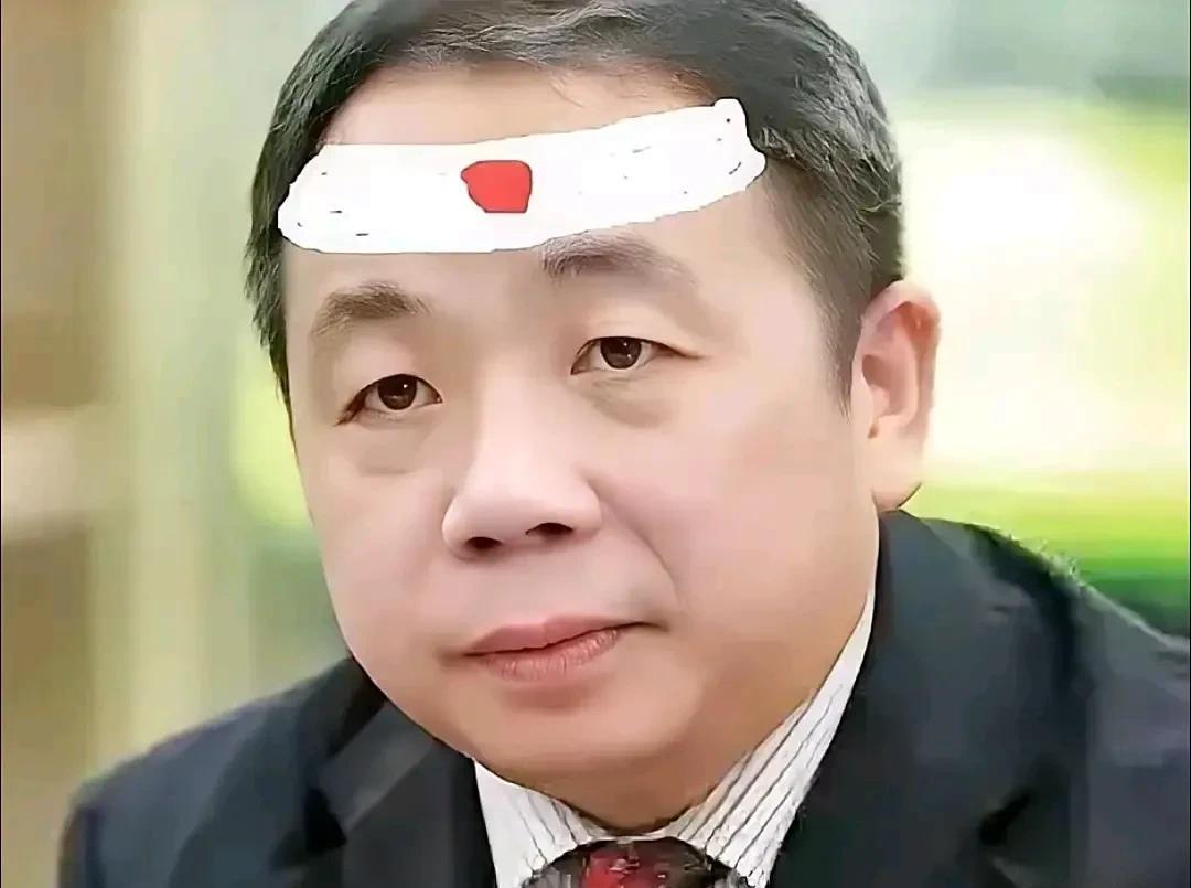当年读到这一段时，我承认我有被恶心到了。
“以前我也经常回中国的。我的研究资料主