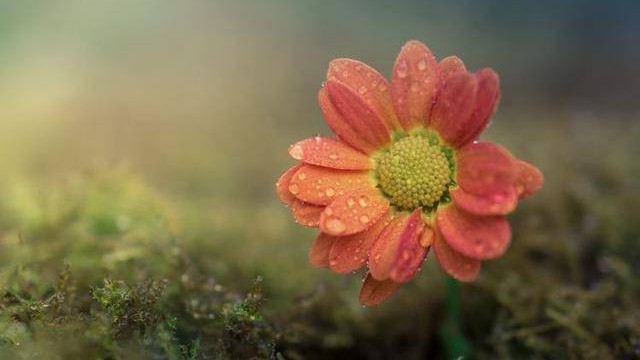 老天爷让你经历“生老病死”，其实有这些深意