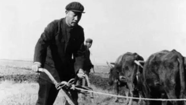 1975年，毛泽东不满王恩茂只当个地委副书记，邓公：调南京副政委