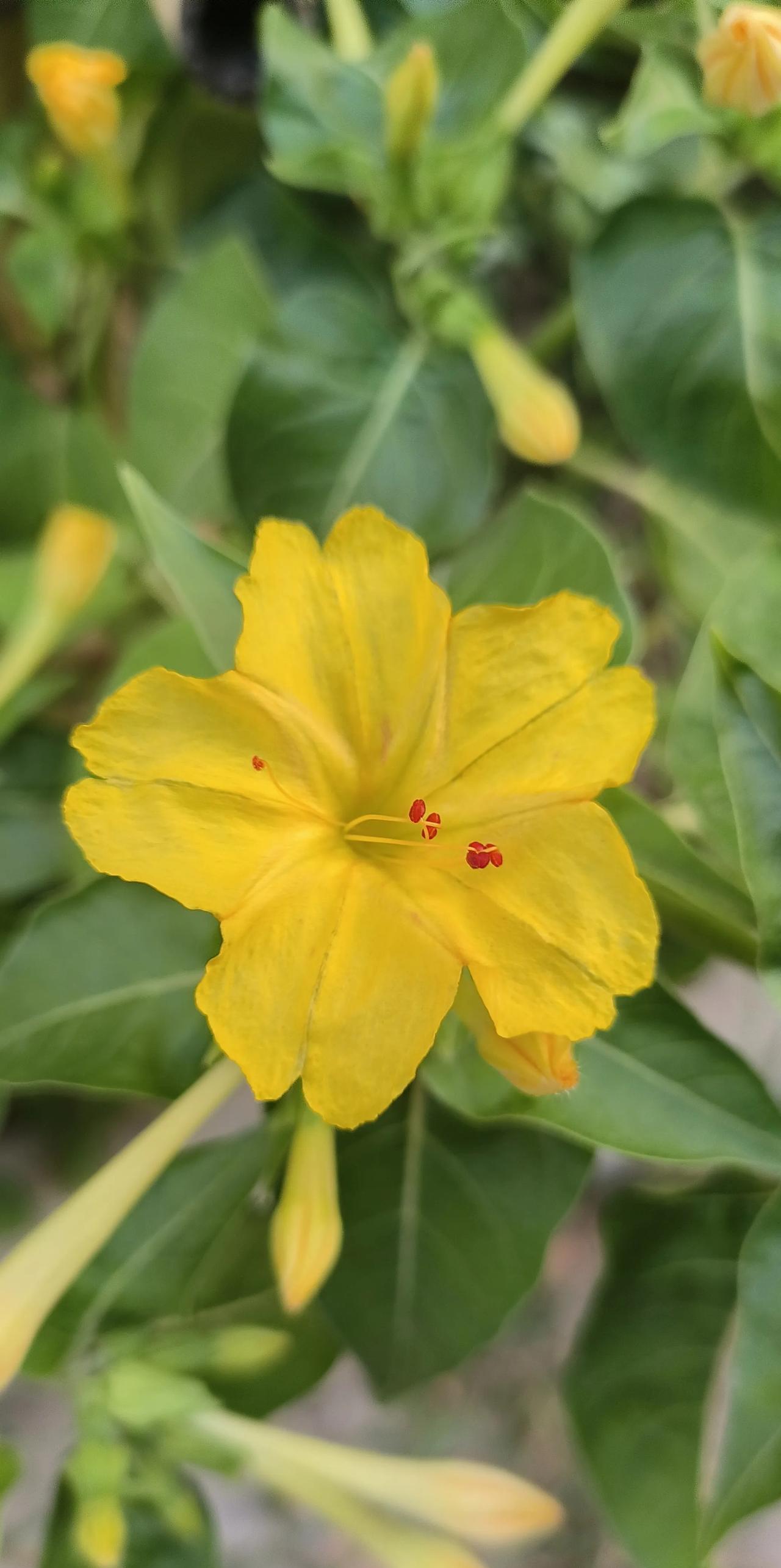 大家知道婚姻生活中，什么最可怕吗？
生活中，他们只要和老婆，发生一点小矛盾，或不