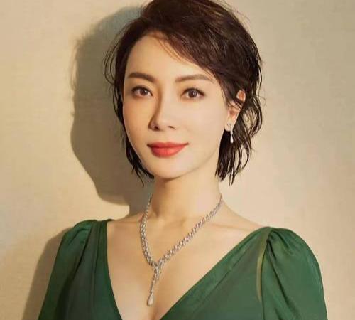 46岁的陈数用实力打破了“颜值至上”的偏见。她以《铁梨花》《完美关系》等作品证明