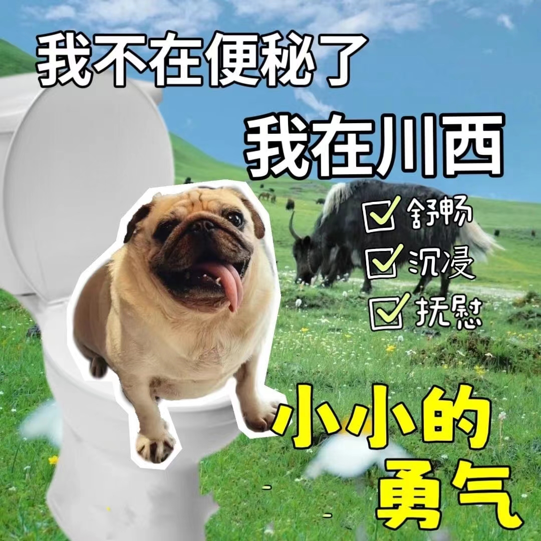 综艺《小小的勇气》定档0327