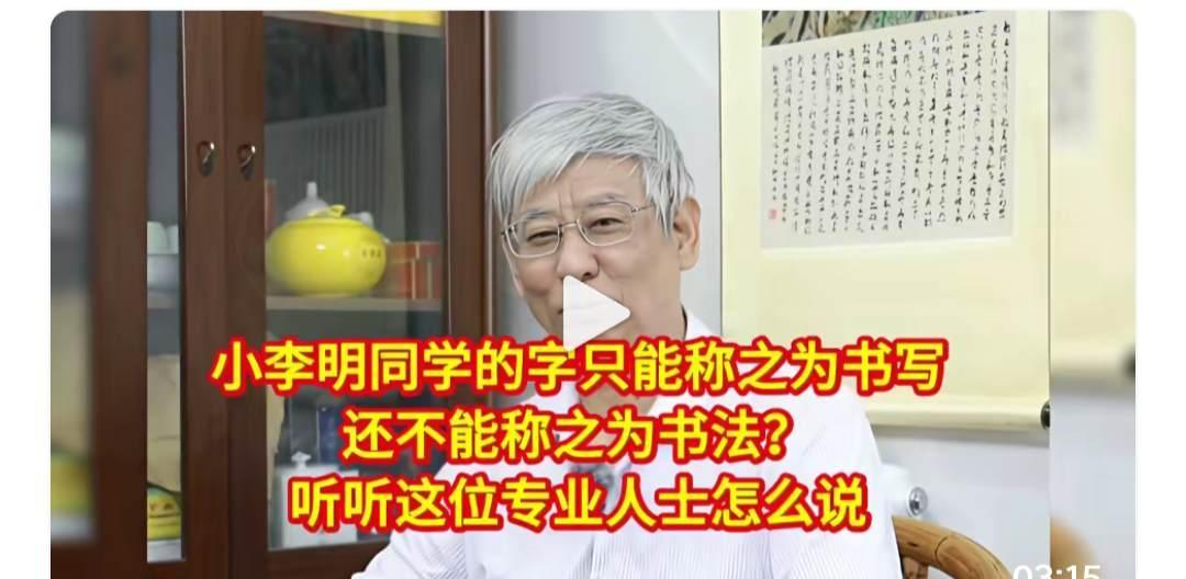 书写的章法称为书法。
所谓的书法家发明的吼书都可以称为书法，为啥孩子写的的就不叫