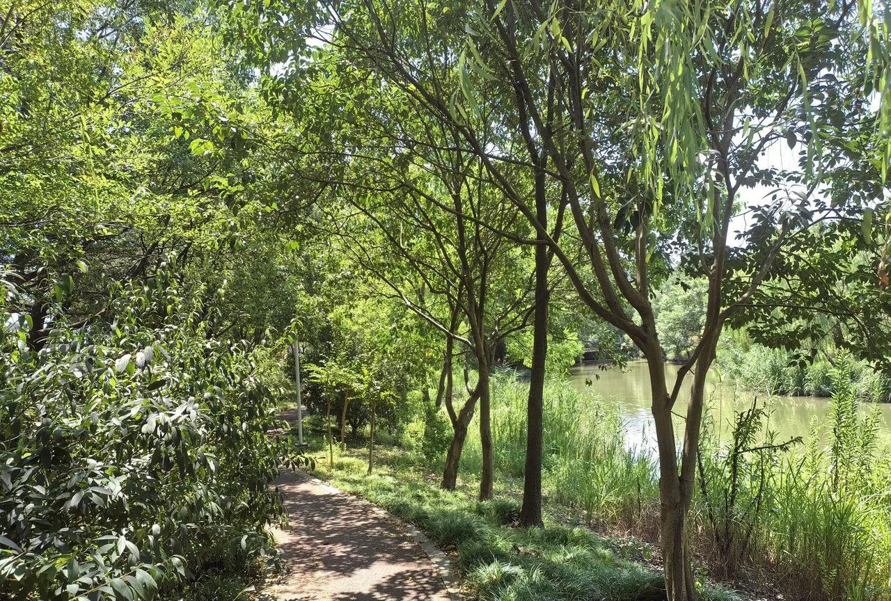 当你走在大街上突然有人向你问时间，你会告诉他（她）吗？
这种情况放在2-30年前