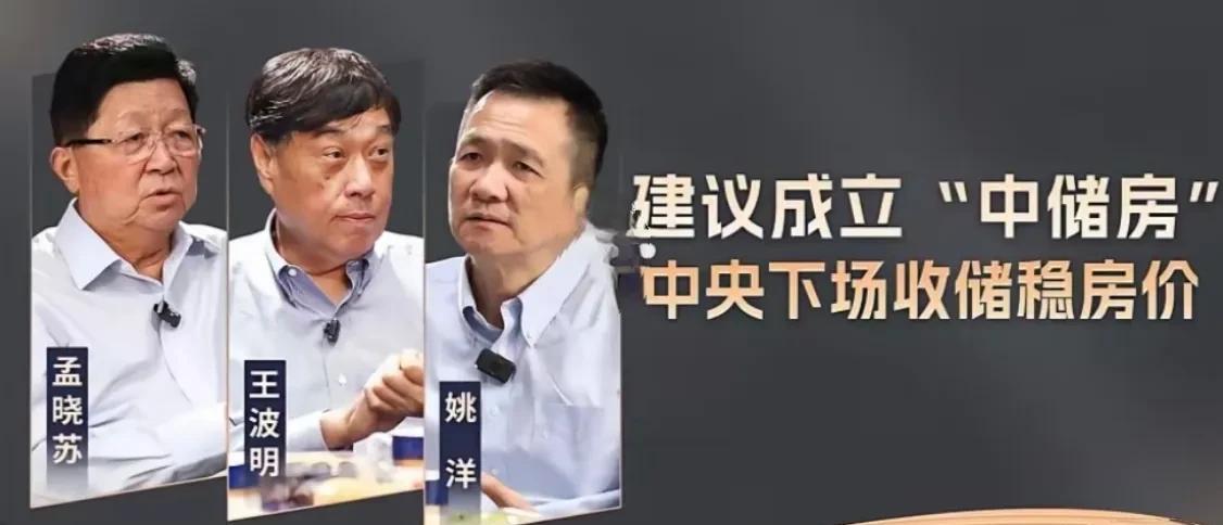 三位重量级人物谈话节目，建议成立“中储房”下场收房，看上去有一些道理。
如果有这
