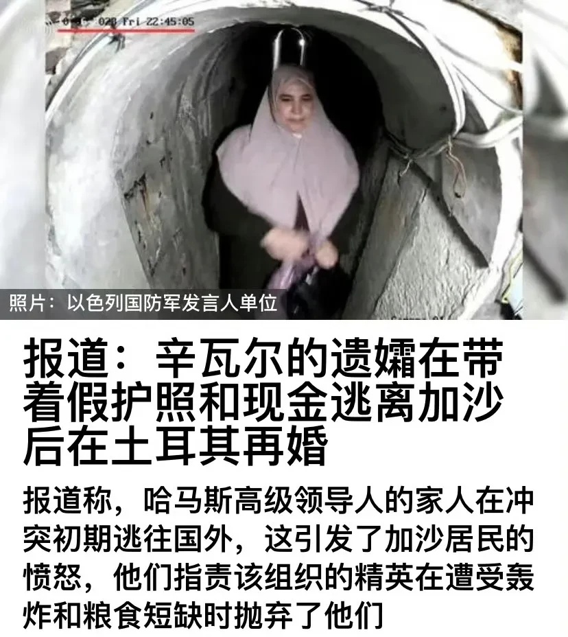 ,内容[{'辛瓦尔才被以色列清除多久啊？



他的': ['[灵光一闪][灵光