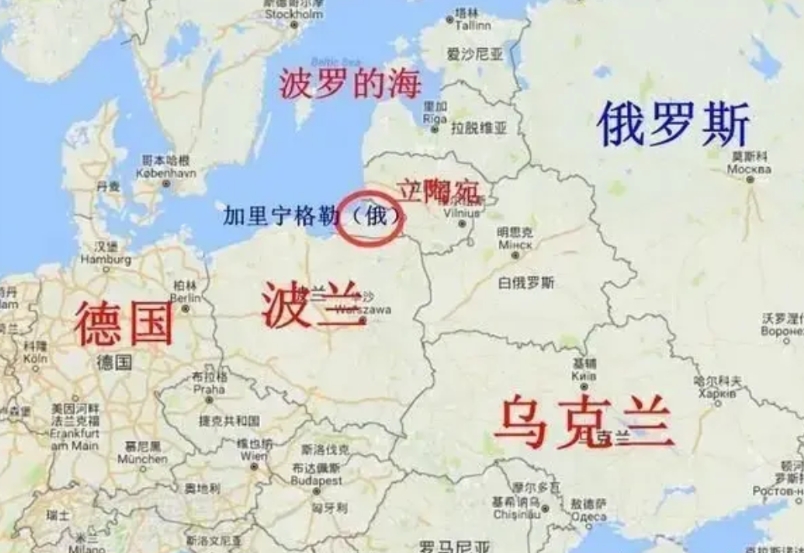 蚂蚁绊大象。
立陶宛陆军总司令日前对外宣布，已将一个700人的防空营，部署到立陶