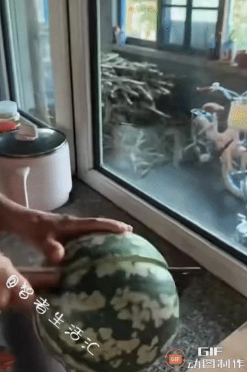 买这种瓜的，要是碰上强哥，估计就完蛋了[笑哭][笑哭][笑哭]