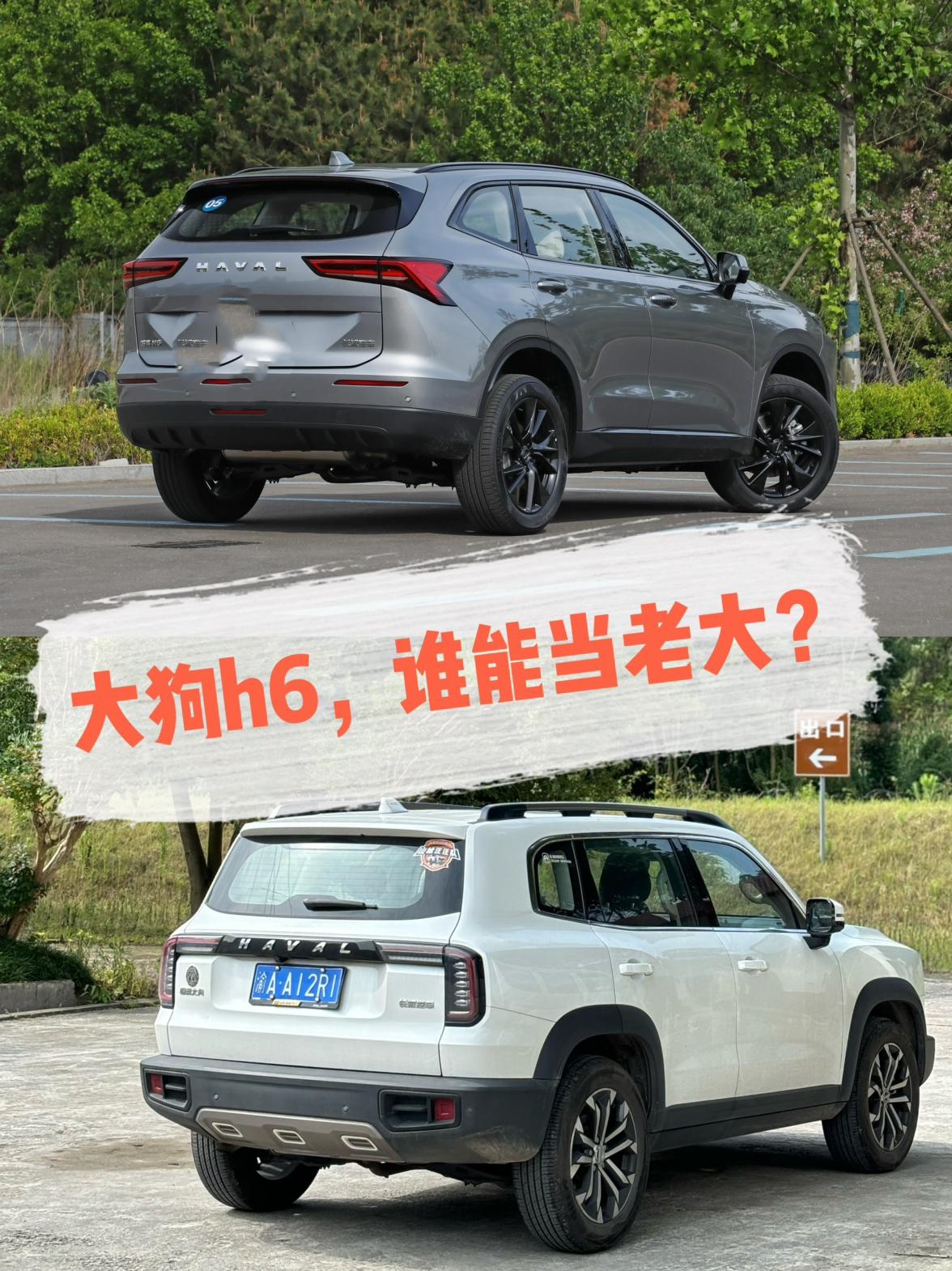 趋近的价格，你选大狗还是H6