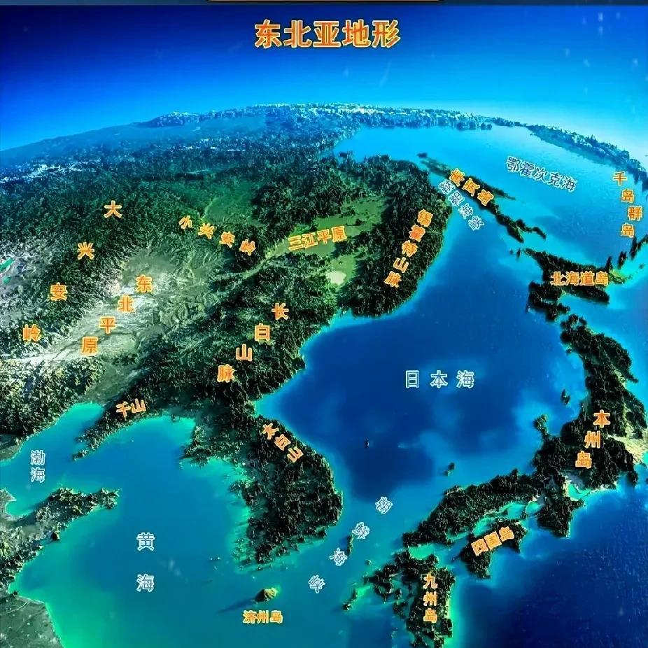 韩国军演误伤，或美军故意，亲美总统被释放！
虽然说是释放，但是依旧接受调查，意思