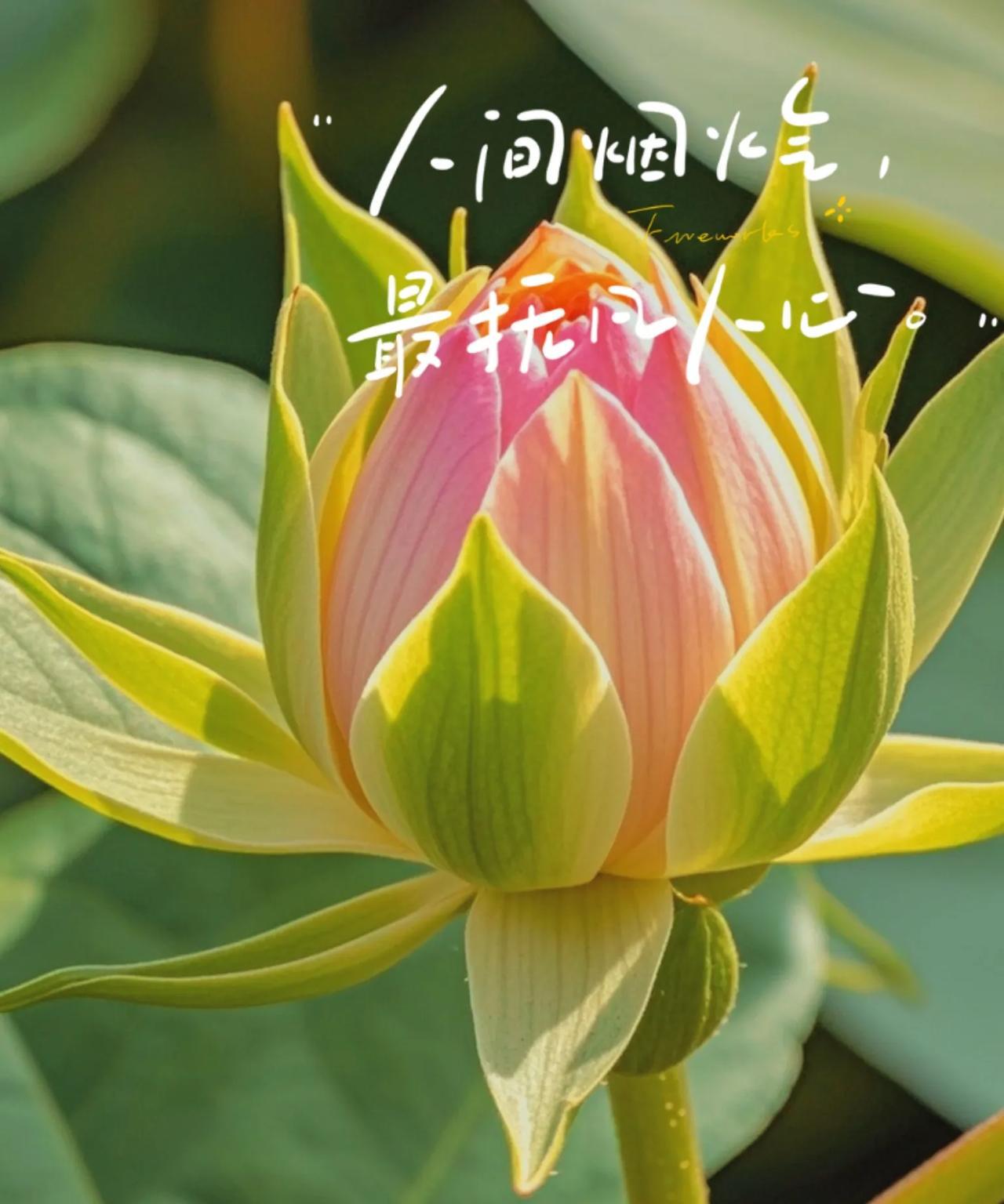 首先，要适度留白，营造距离感。不要成天围着她打转，偶尔让自己冷静一下，保留些许神