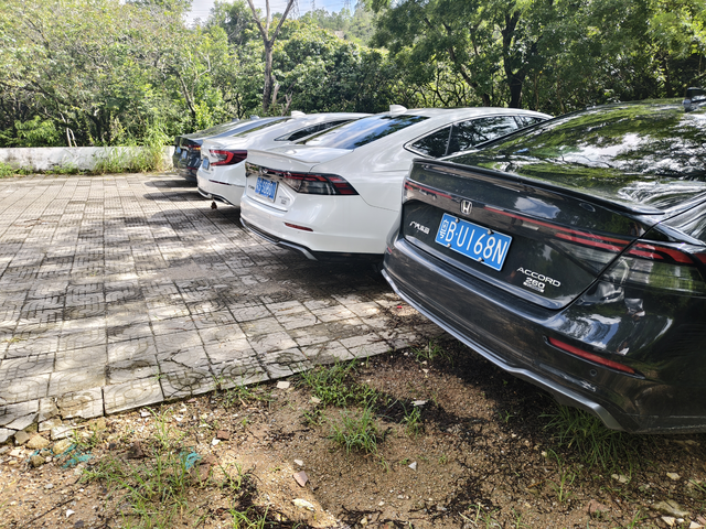 油车永不落幕
油车才是驾驶乐趣的代表。发动机的发展更新迭代，是数十年技术的积累，