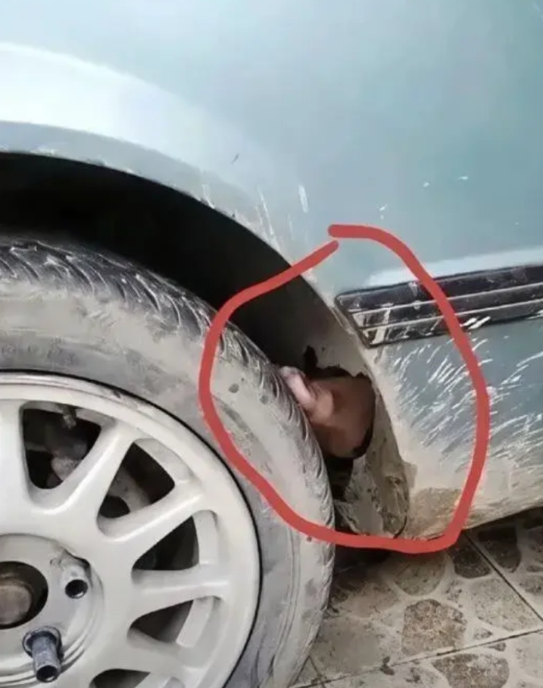 有病吧！拿右脚这样刹车多危险。我们都是用左脚伸出去踩的车轮，下次不要这样了。