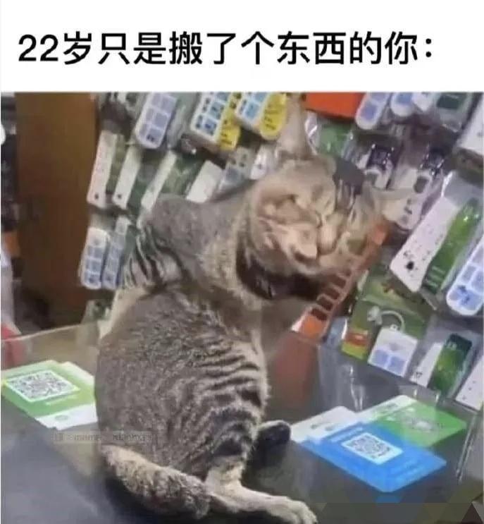 只是搬了个东西的你