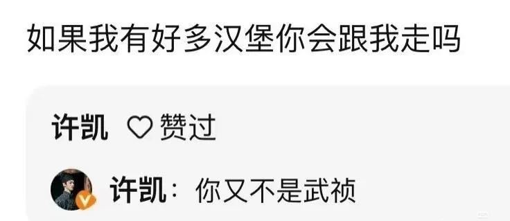 我嘞个豆，别搞专一深情人设啦！谁还会信呐！以为大家没有辨别真相的能力吗？
XK好