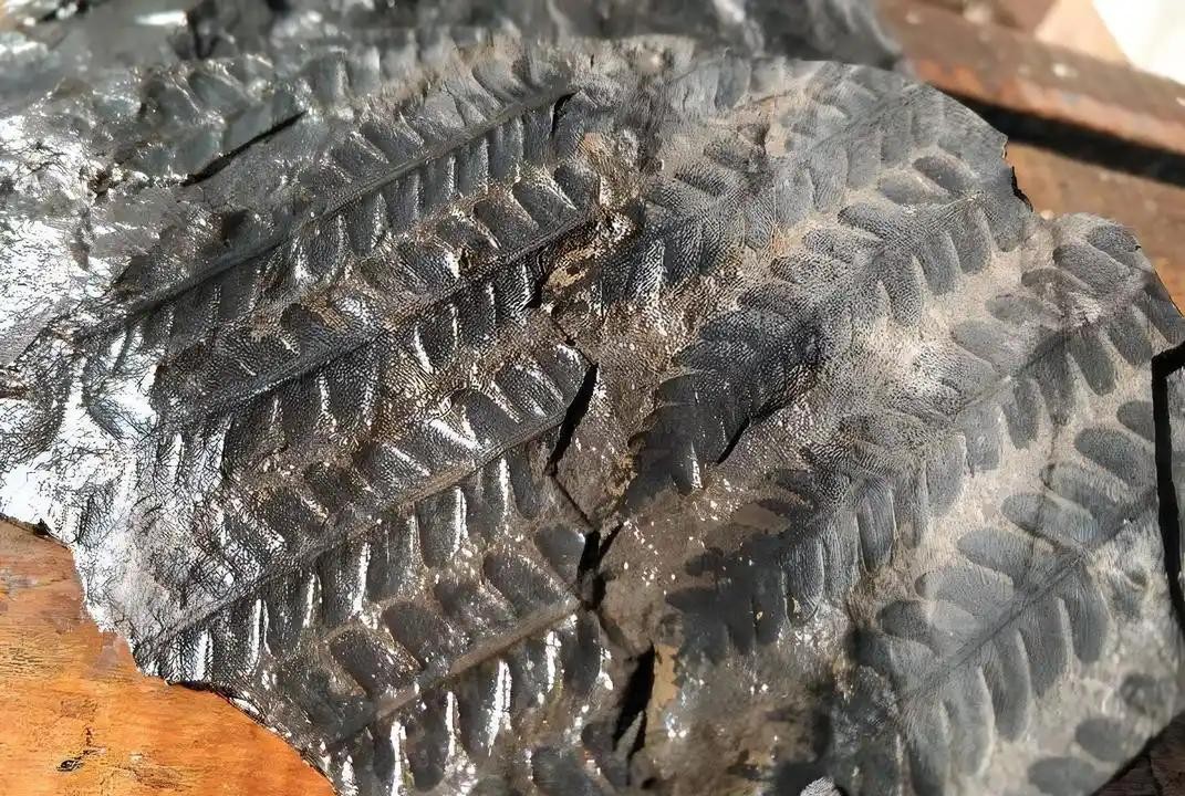煤炭这种黑黝黝的物质，其实是远古森林的化石，用于工业文明发展的原材料。一个在煤矿