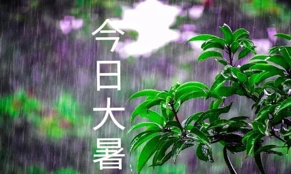 “大暑见三象，农人一年闲”，今日大暑，“三象”指什么？看老人咋说
“伏旱不算旱，