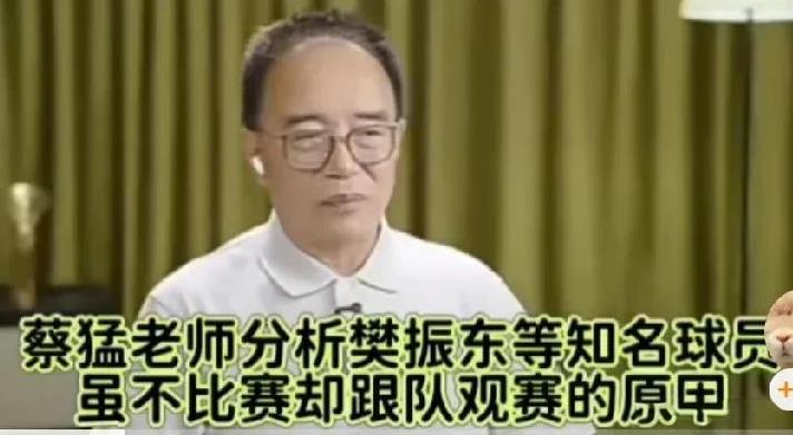 蔡猛老师分析樊振东等知名球员虽个别场次不比赛却跟队观赛的原因。
实际想看樊振东，