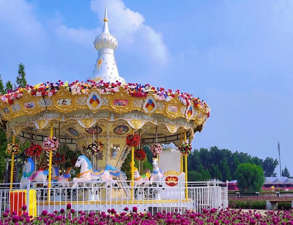 2025北京菊花文化节开幕
九月的北京，秋风送爽，2025北京菊花文化节于9月1