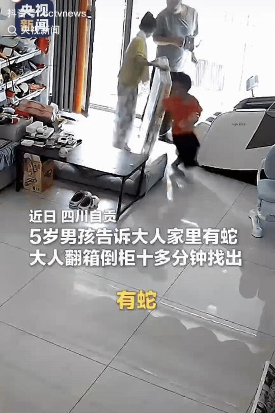 “事实告诉你，孩子的话还是要听的。”
近日，四川自贡，5岁男孩在家里大喊：“有蛇
