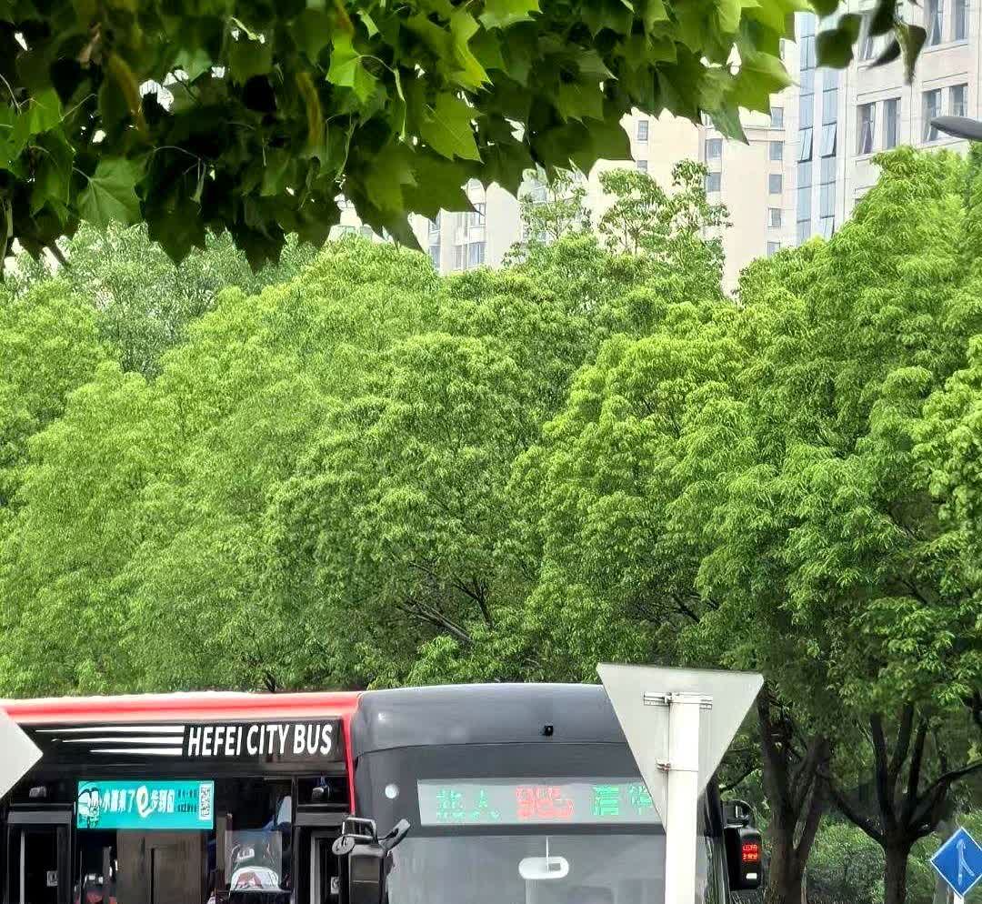 我宣布

合肥公交

你是全国最能整活的公交公司了

这两天刷到合肥