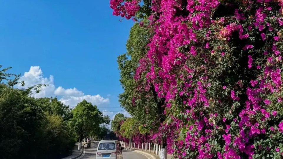 昆明，凭什么能拿下全球避暑胜地榜首？