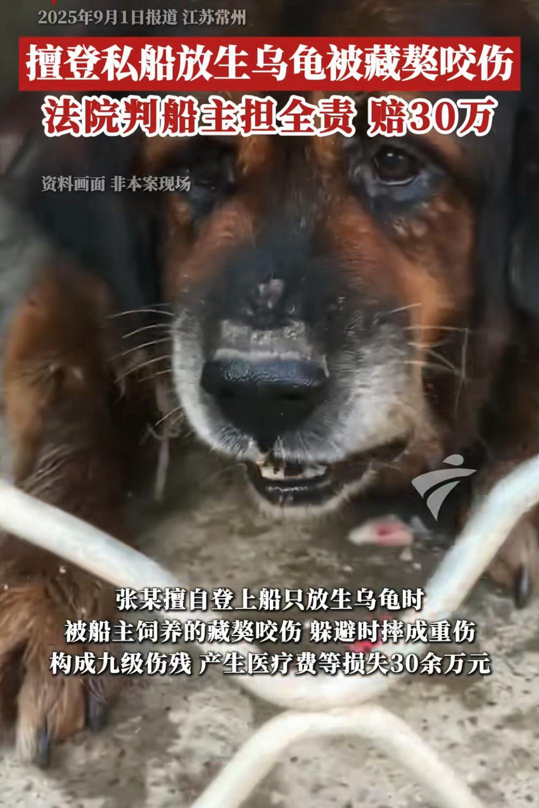 擅闯私船放生乌龟被船主养的藏獒咬伤，船主居然要赔30万。
这真是祸从天降啊，养的