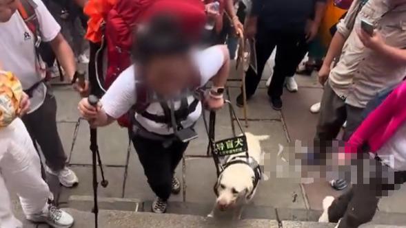 盲人夫妻携导盲犬雨夜爬泰山，为流量不顾狗命？基地回应：收回！