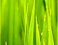 十公分，就是天堑。
庄宇珊被点名“可以走了”，不是技术差，是身高卡死。
现在