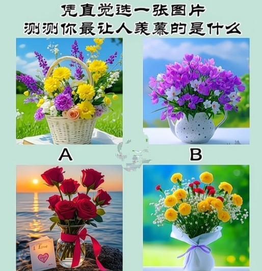 心理测试1476，凭直觉选一张图片，测试你最让人羡慕的是什么？#万能生活指南#