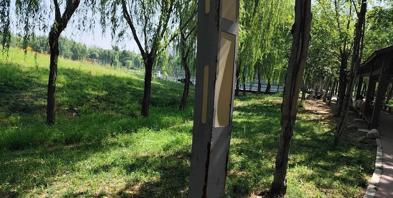 今天早上晨练，突然灵感来了，想写一首“七言绝句”。感觉自己就是诗人了。
请欣赏: