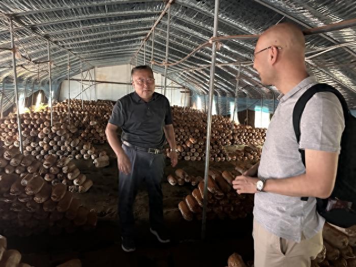 科技赋能菌菇产业 青春聚力乡村振兴