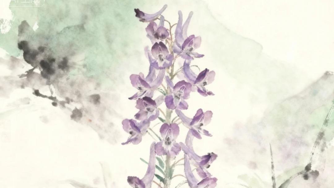 《本草纲目》故事系列——延胡索的故事