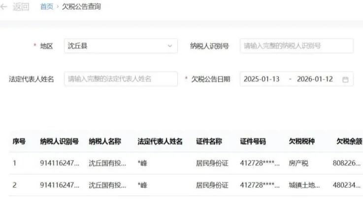沈丘国投陷“多重困局”：原董事长被查，公司被执行近4298万元，欠税超128万元
