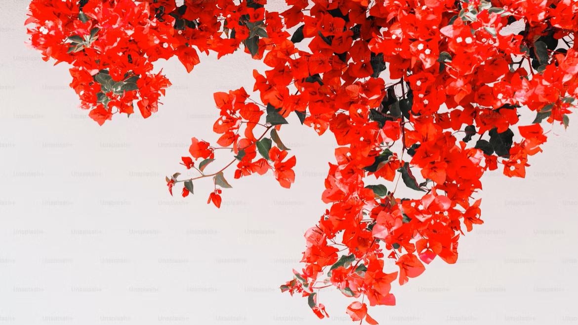 牛市里最锋利的三把利剑