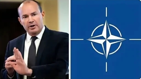 假如美国退出北约，欧洲大陆至少将会出现这几种状况。
美国退出北约，北约内部将会出
