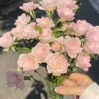 安心比什么都重要