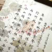 冲锋的骑士