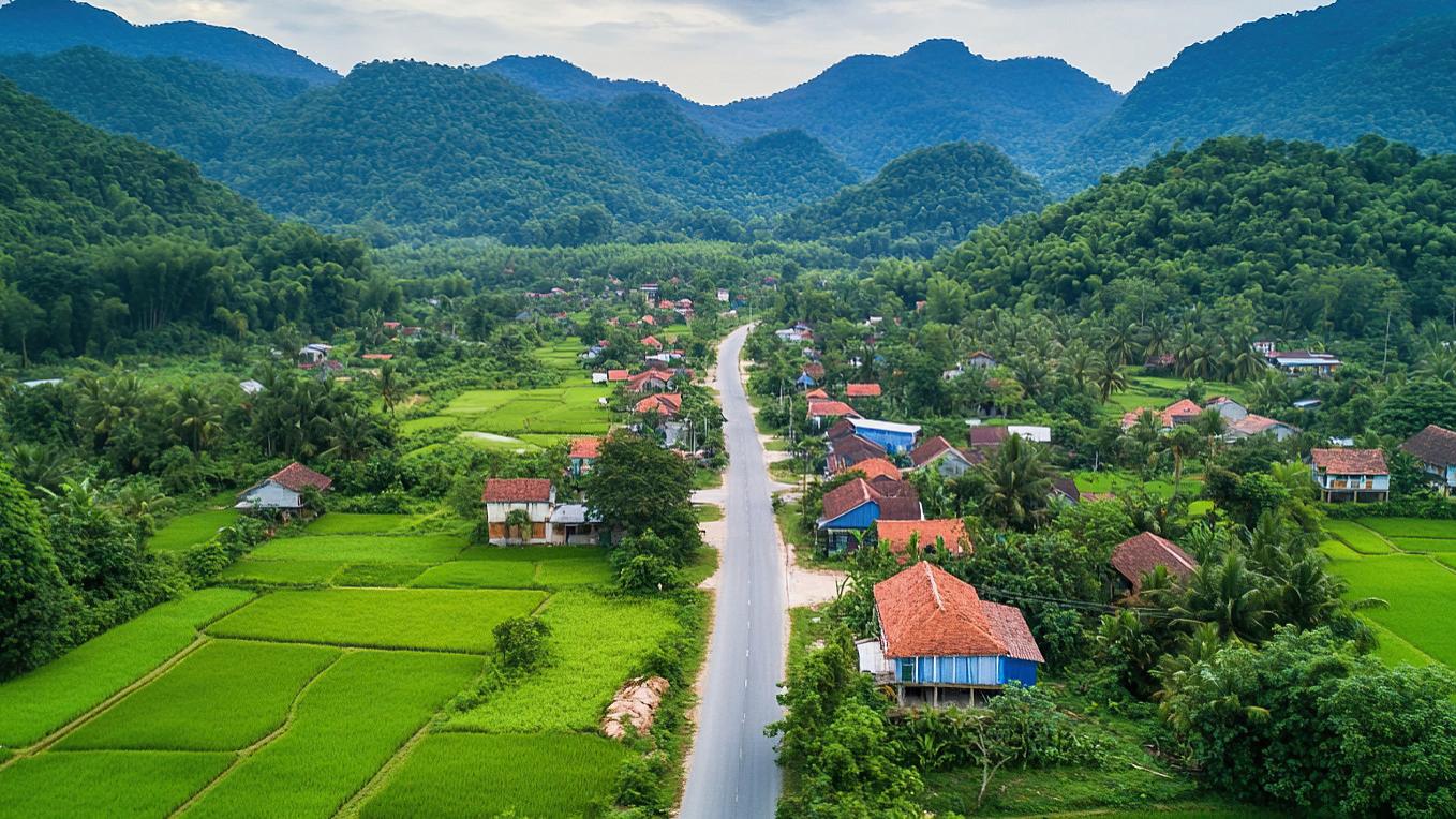 2025年度区长（县长）个人述职述德述廉报告