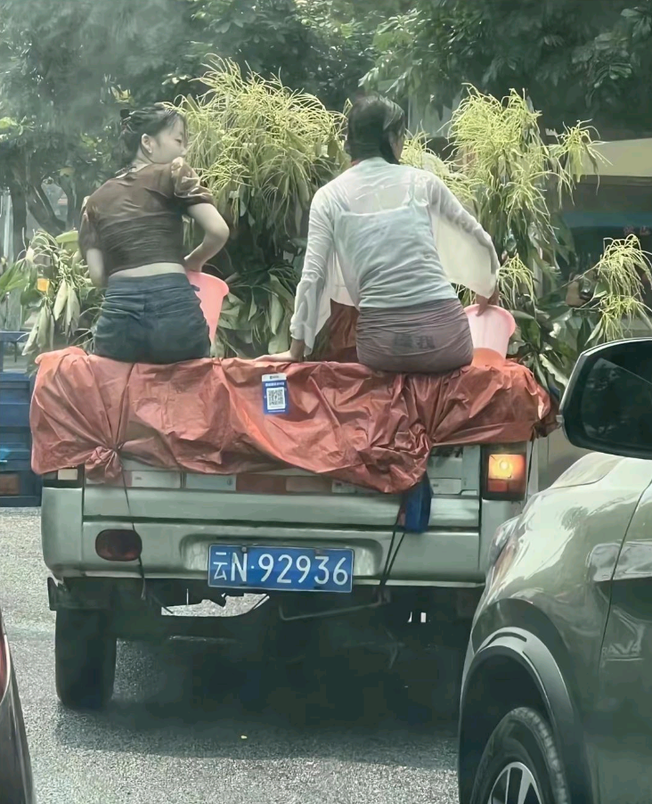 后面那两个字是啥？看不清楚。