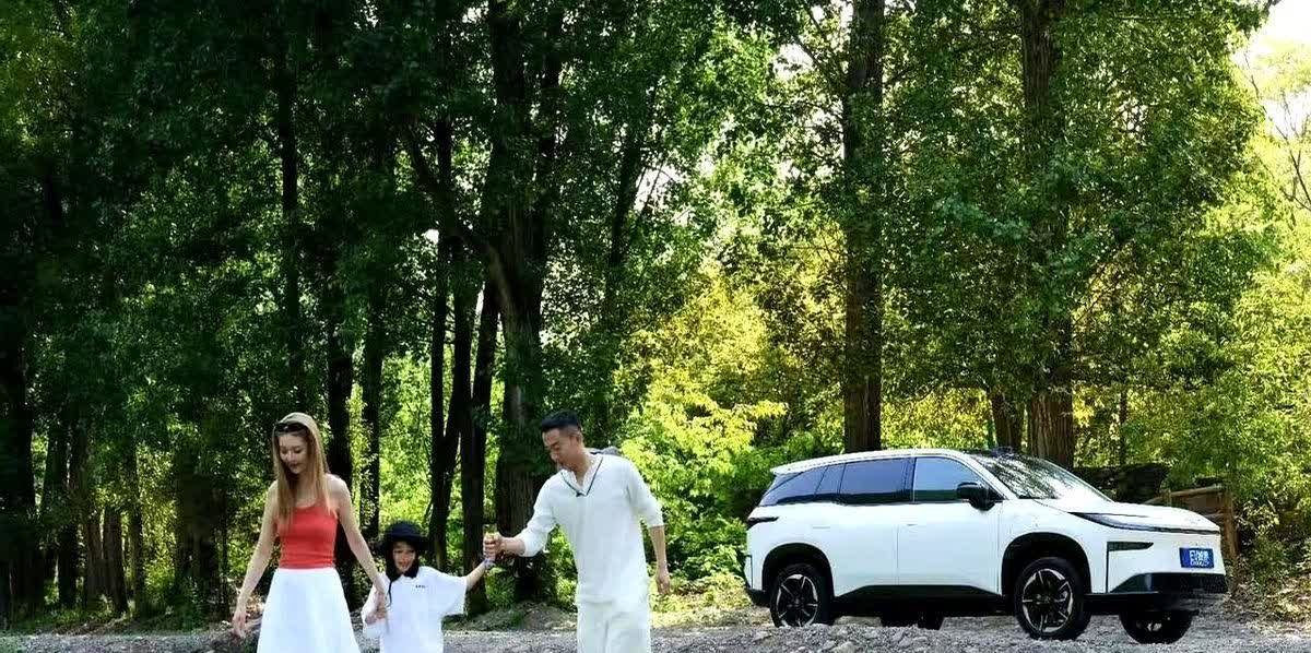 伤害性不大，侮辱性极强！

当十四亿中国人都以为比亚迪、奇瑞、吉利等汽车将智