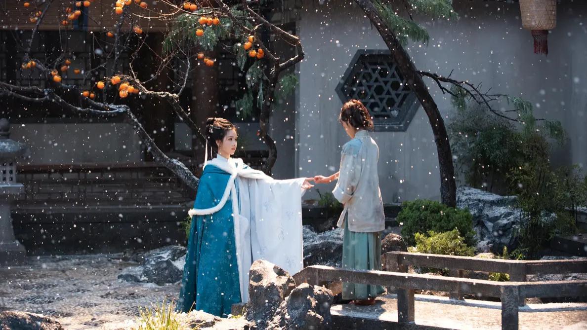 2025国产剧《贵女》全集高清免费在线观看_《贵女》高清完整版在线观看 剧情片- VS影院_国剧《雁