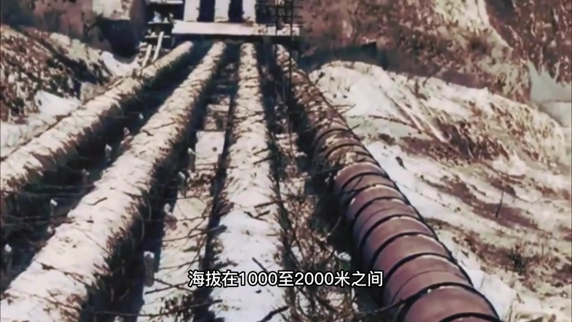 1950年长津湖战役前线真实影像