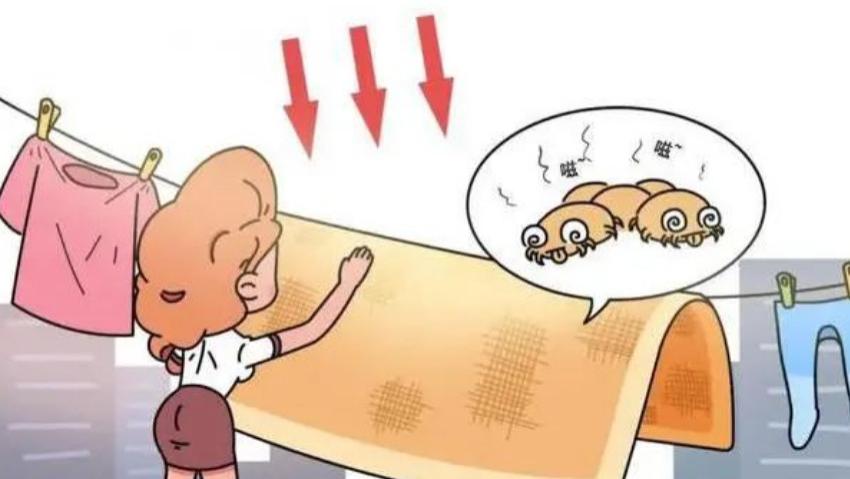 哪个除螨仪性价比高一点？除螨仪怎么选购不踩坑？不容易踩雷的10款家用除螨仪产品介绍分享！