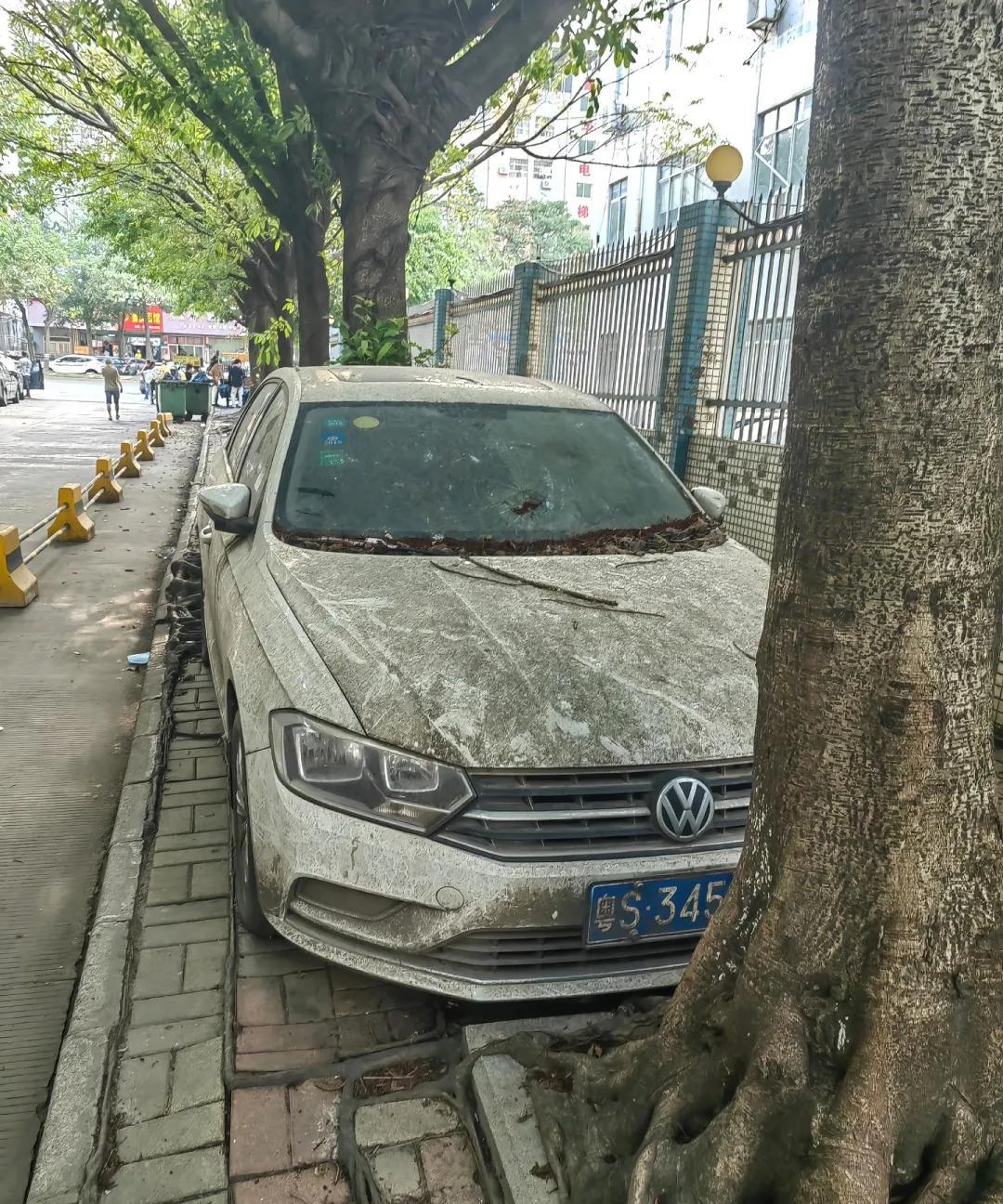 今天真的碰到高手了，[发怒][发怒]
这辆车，是怎么开上去的？
现在地上的树根都