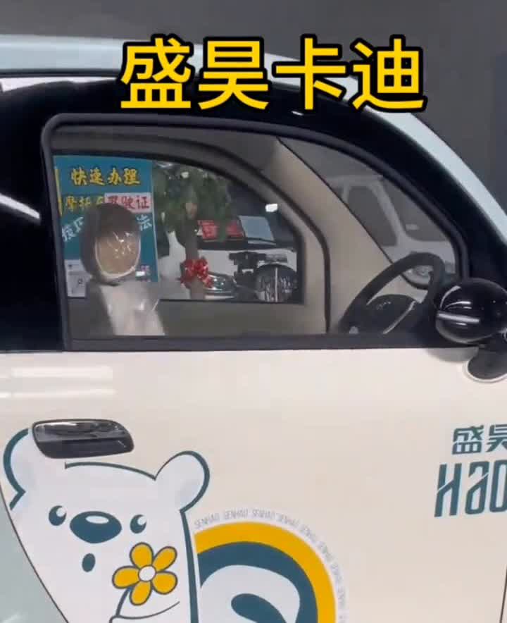 盛昊卡迪全国销量遥遥领先。
盛昊卡迪是两门三座电动车，整车尺寸长2.5米、宽1