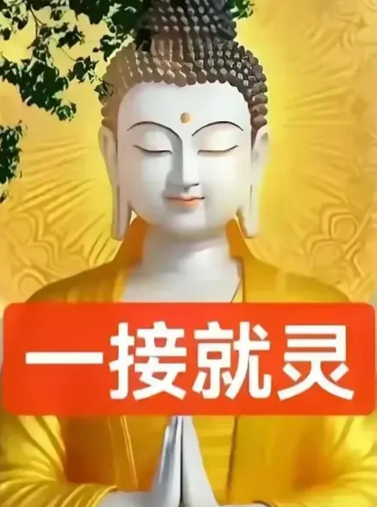 但我有预感，你家孩子马上要一路“开挂”啦！不过，你得先稳稳接住这份好运。留下“阿