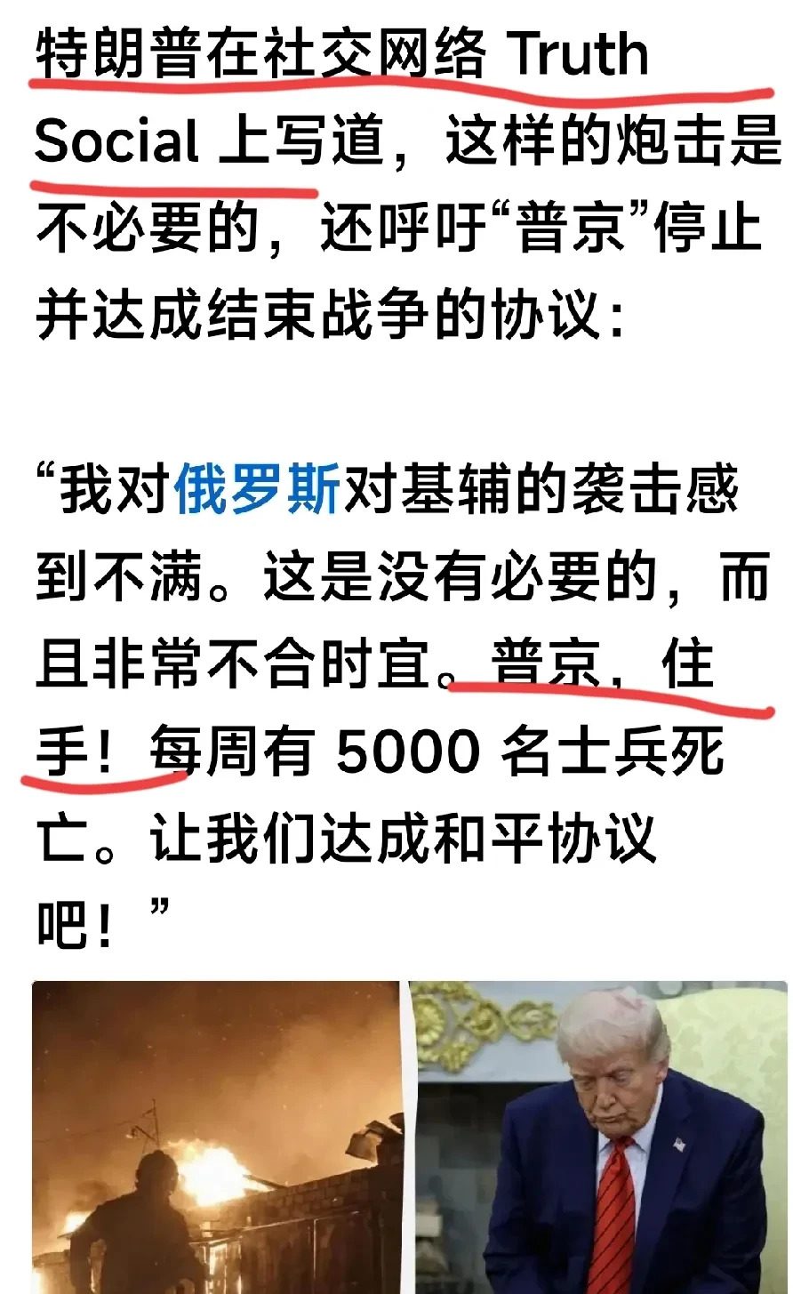 停止虐待动物刻不容缓











你见过被虐待的动物吗？它们的眼神充满
