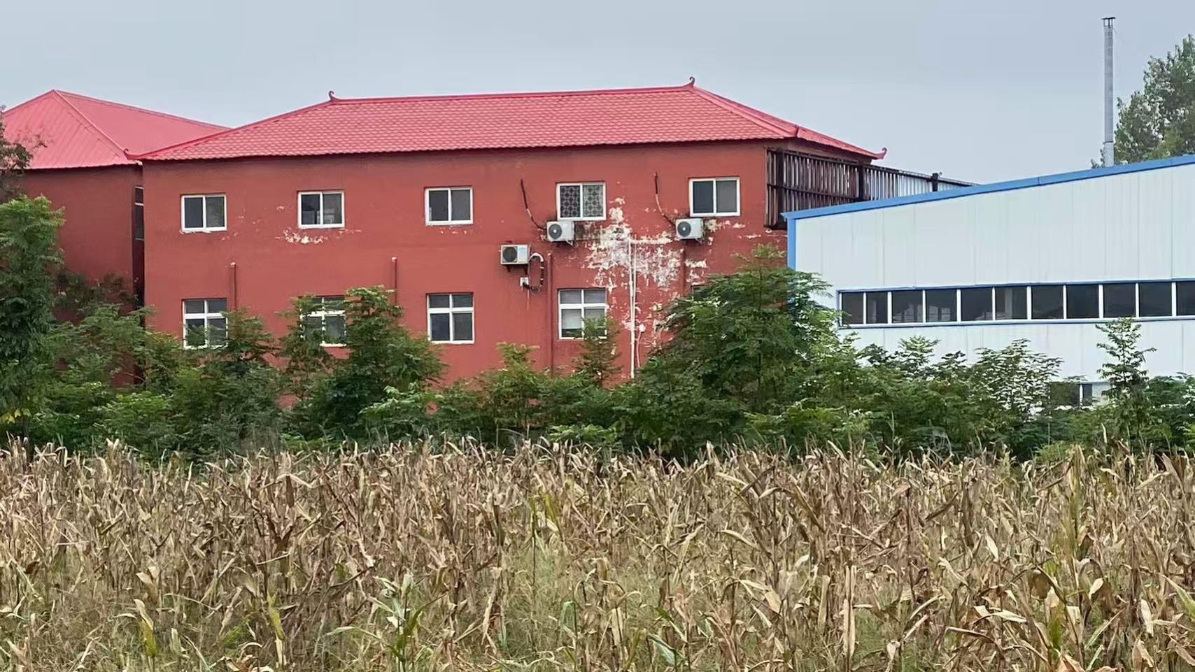 漯河市源汇区一农民铲掉麦苗占用百余亩耕地建厂房 监管缺失？