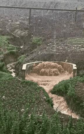 别人家的祖坟冒青烟，你家的祖坟冒洪水[捂脸][捂脸][捂脸]
